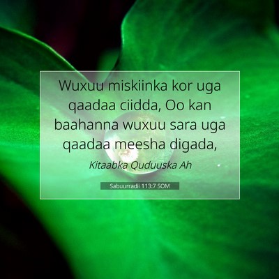 Picture 07 - Sabuurradii 113:7 SOM - Wuxuu miskiinka kor uga qaadaa ciidda, Oo kan - Bible Verse Picture