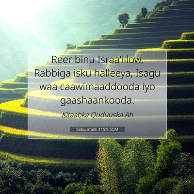 Picture 07 - Sabuurradii 115:9 SOM - Reer binu Israa'iilow, Rabbiga isku halleeya, - Bible Verse Picture