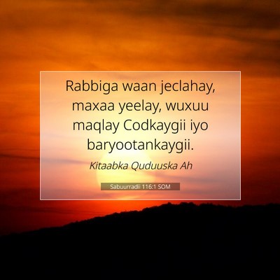 Picture 07 - Sabuurradii 116:1 SOM - Rabbiga waan jeclahay, maxaa yeelay, wuxuu maqlay - Bible Verse Picture