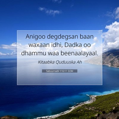Picture 07 - Sabuurradii 116:11 SOM - Anigoo degdegsan baan waxaan idhi, Dadka oo - Bible Verse Picture