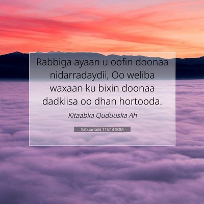 Picture 07 - Sabuurradii 116:14 SOM - Rabbiga ayaan u oofin doonaa nidarradaydii, Oo - Bible Verse Picture