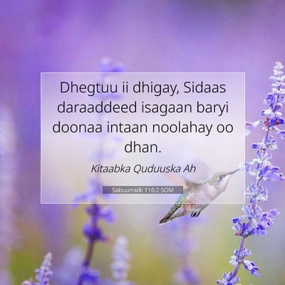 Picture 07 - Sabuurradii 116:2 SOM - Dhegtuu ii dhigay, Sidaas daraaddeed isagaan - Bible Verse Picture
