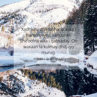 Picture 07 - Sabuurradii 116:3 SOM - Xadhkihii dhimashada ayaa i hareereeyey, - Bible Verse Picture