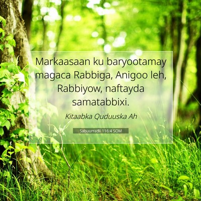 Picture 07 - Sabuurradii 116:4 SOM - Markaasaan ku baryootamay magaca Rabbiga, Anigoo - Bible Verse Picture