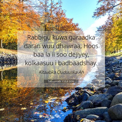 Picture 07 - Sabuurradii 116:6 SOM - Rabbigu kuwa garaadka daran wuu dhawraa, Hoos baa - Bible Verse Picture