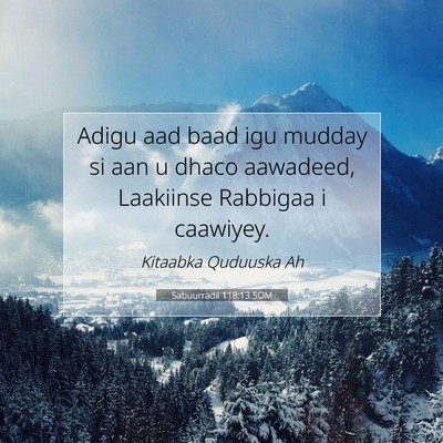 Picture 07 - Sabuurradii 118:13 SOM - Adigu aad baad igu mudday si aan u dhaco - Bible Verse Picture