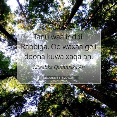 Picture 07 - Sabuurradii 118:20 SOM - Tanu waa iriddii Rabbiga, Oo waxaa geli doona - Bible Verse Picture