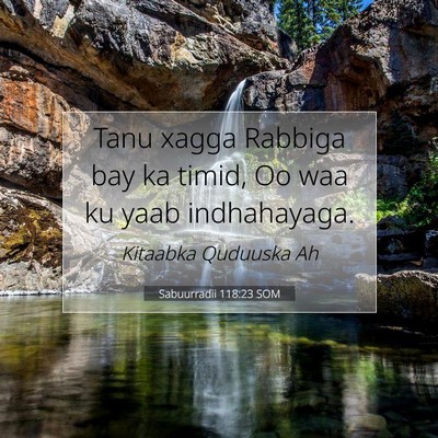 Picture 07 - Sabuurradii 118:23 SOM - Tanu xagga Rabbiga bay ka timid, Oo waa ku yaab - Bible Verse Picture