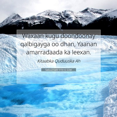 Picture 07 - Sabuurradii 119:10 SOM - Waxaan kugu doondoonay qalbigayga oo dhan, Yaanan - Bible Verse Picture