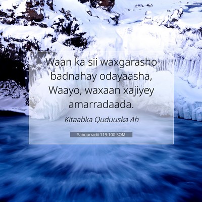 Picture 07 - Sabuurradii 119:100 SOM - Waan ka sii waxgarasho badnahay odayaasha, Waayo, - Bible Verse Picture
