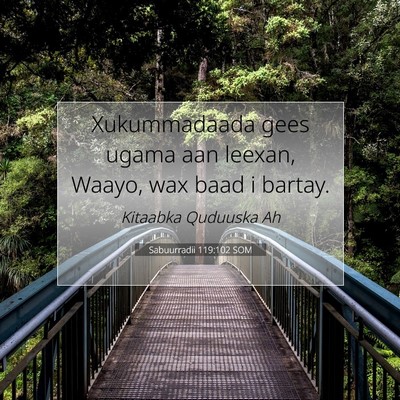 Picture 07 - Sabuurradii 119:102 SOM - Xukummadaada gees ugama aan leexan, Waayo, wax - Bible Verse Picture