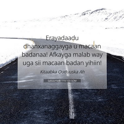 Picture 07 - Sabuurradii 119:103 SOM - Erayadaadu dhanxanaggayga u macaan badanaa! - Bible Verse Picture