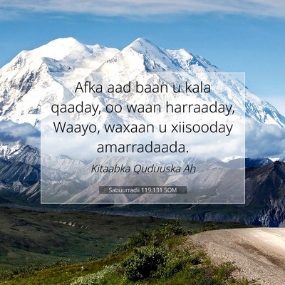 Picture 07 - Sabuurradii 119:131 SOM - Afka aad baan u kala qaaday, oo waan harraaday, - Bible Verse Picture