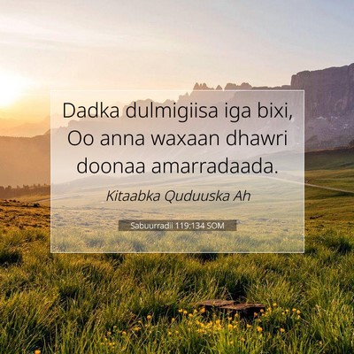 Picture 07 - Sabuurradii 119:134 SOM - Dadka dulmigiisa iga bixi, Oo anna waxaan dhawri - Bible Verse Picture