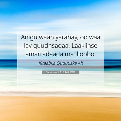 Picture 07 - Sabuurradii 119:141 SOM - Anigu waan yarahay, oo waa lay quudhsadaa, - Bible Verse Picture