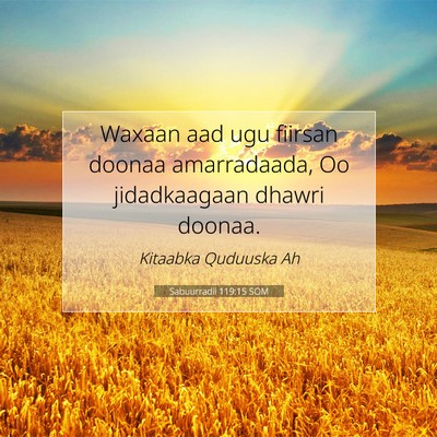Picture 07 - Sabuurradii 119:15 SOM - Waxaan aad ugu fiirsan doonaa amarradaada, Oo - Bible Verse Picture