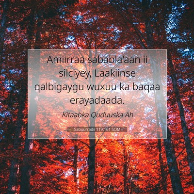 Picture 07 - Sabuurradii 119:161 SOM - Amiirraa sababla'aan ii silciyey, Laakiinse - Bible Verse Picture