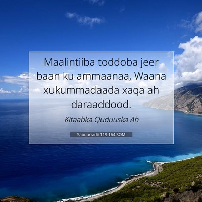 Picture 07 - Sabuurradii 119:164 SOM - Maalintiiba toddoba jeer baan ku ammaanaa, Waana - Bible Verse Picture