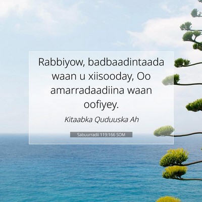 Picture 07 - Sabuurradii 119:166 SOM - Rabbiyow, badbaadintaada waan u xiisooday, Oo - Bible Verse Picture