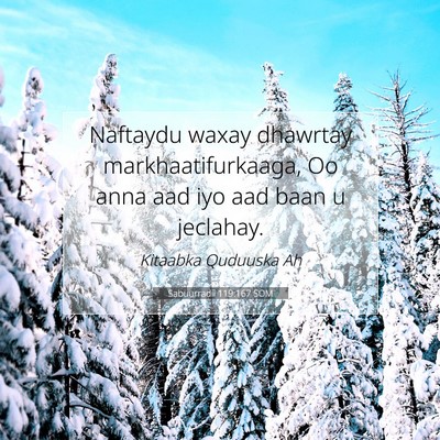Picture 07 - Sabuurradii 119:167 SOM - Naftaydu waxay dhawrtay markhaatifurkaaga, Oo - Bible Verse Picture