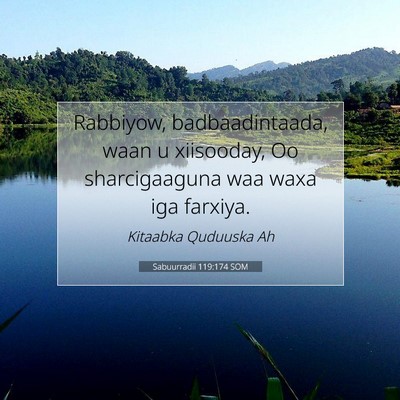 Picture 07 - Sabuurradii 119:174 SOM - Rabbiyow, badbaadintaada, waan u xiisooday, Oo - Bible Verse Picture