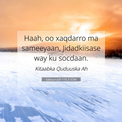 Picture 07 - Sabuurradii 119:3 SOM - Haah, oo xaqdarro ma sameeyaan, Jidadkiisase way - Bible Verse Picture