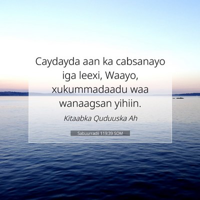Picture 07 - Sabuurradii 119:39 SOM - Caydayda aan ka cabsanayo iga leexi, Waayo, - Bible Verse Picture