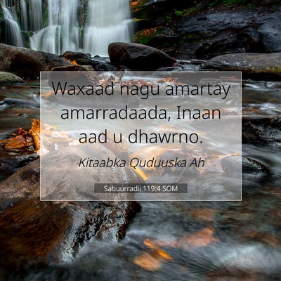 Picture 07 - Sabuurradii 119:4 SOM - Waxaad nagu amartay amarradaada, Inaan aad u - Bible Verse Picture