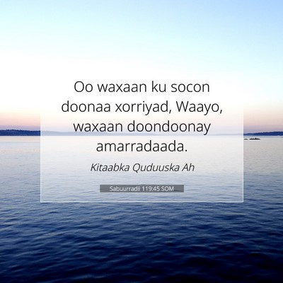 Picture 07 - Sabuurradii 119:45 SOM - Oo waxaan ku socon doonaa xorriyad, Waayo, waxaan - Bible Verse Picture