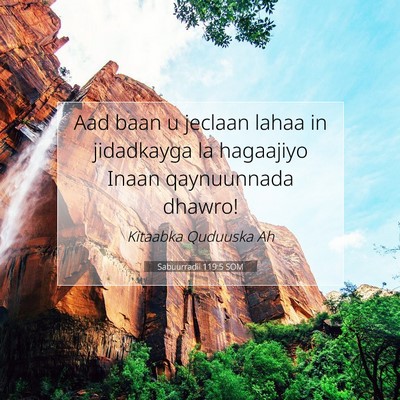 Picture 07 - Sabuurradii 119:5 SOM - Aad baan u jeclaan lahaa in jidadkayga la - Bible Verse Picture