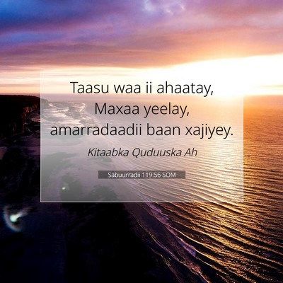 Picture 07 - Sabuurradii 119:56 SOM - Taasu waa ii ahaatay, Maxaa yeelay, amarradaadii - Bible Verse Picture