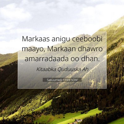 Picture 07 - Sabuurradii 119:6 SOM - Markaas anigu ceeboobi maayo, Markaan dhawro - Bible Verse Picture