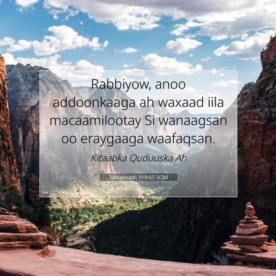 Picture 07 - Sabuurradii 119:65 SOM - Rabbiyow, anoo addoonkaaga ah waxaad iila - Bible Verse Picture