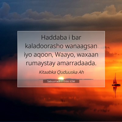 Picture 07 - Sabuurradii 119:66 SOM - Haddaba i bar kaladoorasho wanaagsan iyo aqoon, - Bible Verse Picture
