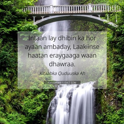 Picture 07 - Sabuurradii 119:67 SOM - Intaan lay dhibin ka hor ayaan ambaday, Laakiinse - Bible Verse Picture