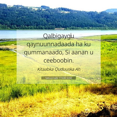 Picture 07 - Sabuurradii 119:80 SOM - Qalbigaygu qaynuunnadaada ha ku qummanaado, Si - Bible Verse Picture