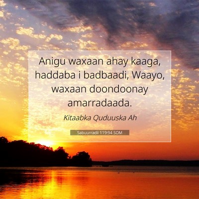 Picture 07 - Sabuurradii 119:94 SOM - Anigu waxaan ahay kaaga, haddaba i badbaadi, - Bible Verse Picture