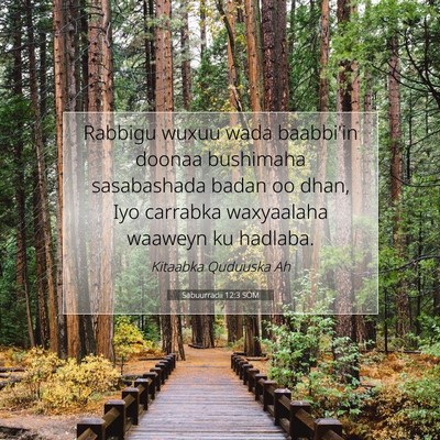 Picture 07 - Sabuurradii 12:3 SOM - Rabbigu wuxuu wada baabbi'in doonaa bushimaha - Bible Verse Picture