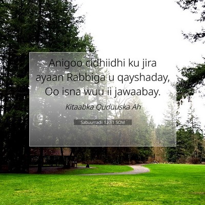 Picture 07 - Sabuurradii 120:1 SOM - Anigoo cidhiidhi ku jira ayaan Rabbiga u - Bible Verse Picture