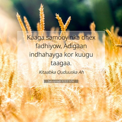 Picture 07 - Sabuurradii 123:1 SOM - Kaaga samooyinka dhex fadhiyow, Adigaan - Bible Verse Picture