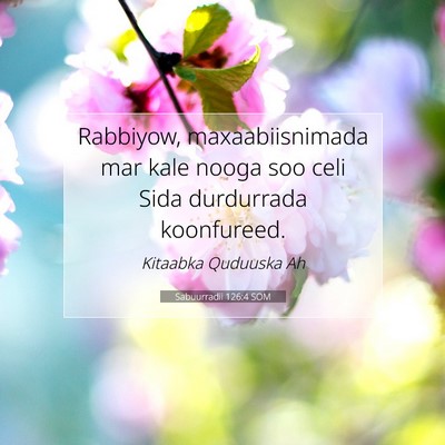 Picture 07 - Sabuurradii 126:4 SOM - Rabbiyow, maxaabiisnimada mar kale nooga soo celi - Bible Verse Picture