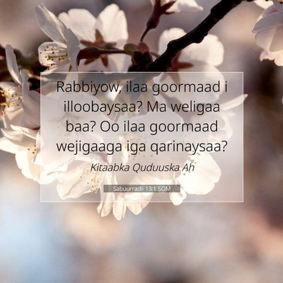 Picture 07 - Sabuurradii 13:1 SOM - Rabbiyow, ilaa goormaad i illoobaysaa? Ma weligaa - Bible Verse Picture