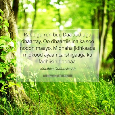 Picture 07 - Sabuurradii 132:11 SOM - Rabbigu run buu Daa'uud ugu dhaartay, Oo - Bible Verse Picture