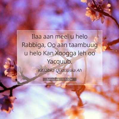 Picture 07 - Sabuurradii 132:5 SOM - Ilaa aan meel u helo Rabbiga, Oo aan taambuug u - Bible Verse Picture