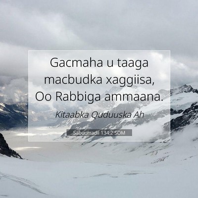 Picture 07 - Sabuurradii 134:2 SOM - Gacmaha u taaga macbudka xaggiisa, Oo Rabbiga - Bible Verse Picture