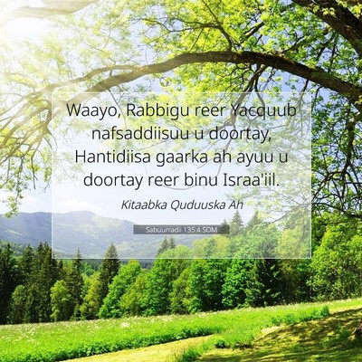 Picture 07 - Sabuurradii 135:4 SOM - Waayo, Rabbigu reer Yacquub nafsaddiisuu u - Bible Verse Picture