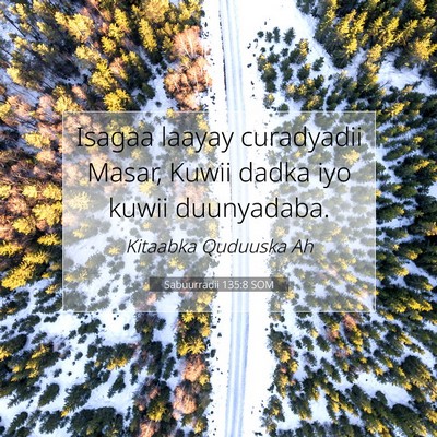 Picture 07 - Sabuurradii 135:8 SOM - Isagaa laayay curadyadii Masar, Kuwii dadka iyo - Bible Verse Picture