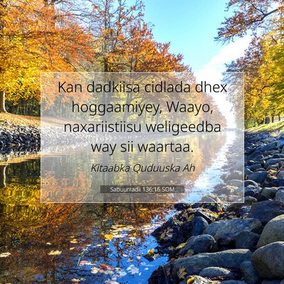 Picture 07 - Sabuurradii 136:16 SOM - Kan dadkiisa cidlada dhex hoggaamiyey, Waayo, - Bible Verse Picture