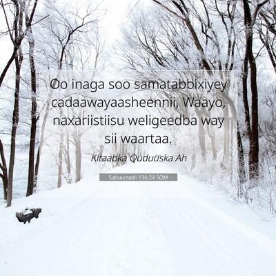 Picture 07 - Sabuurradii 136:24 SOM - Oo inaga soo samatabbixiyey cadaawayaasheennii, - Bible Verse Picture
