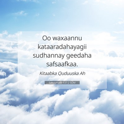 Picture 07 - Sabuurradii 137:2 SOM - Oo waxaannu kataaradahayagii sudhannay geedaha - Bible Verse Picture